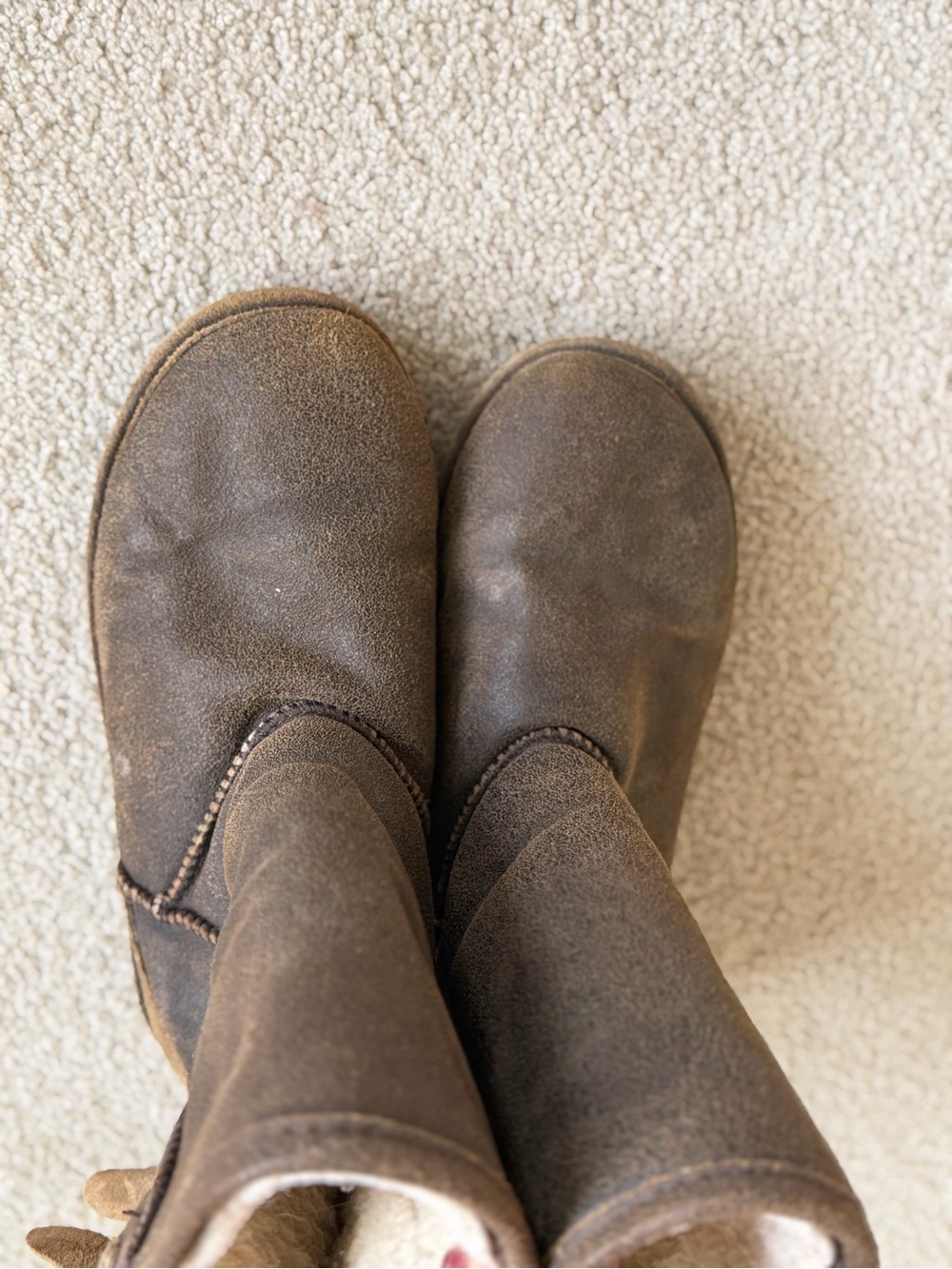 Bearpaw Boshie Brown Knit-Accent Mid-Calf Boots - Picture 6 of 6